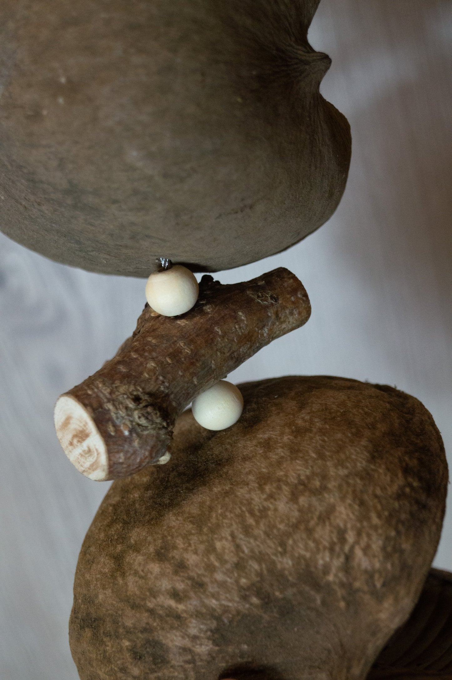 Doppelte Buddhanuss-Schaukel mit Edelstahldraht