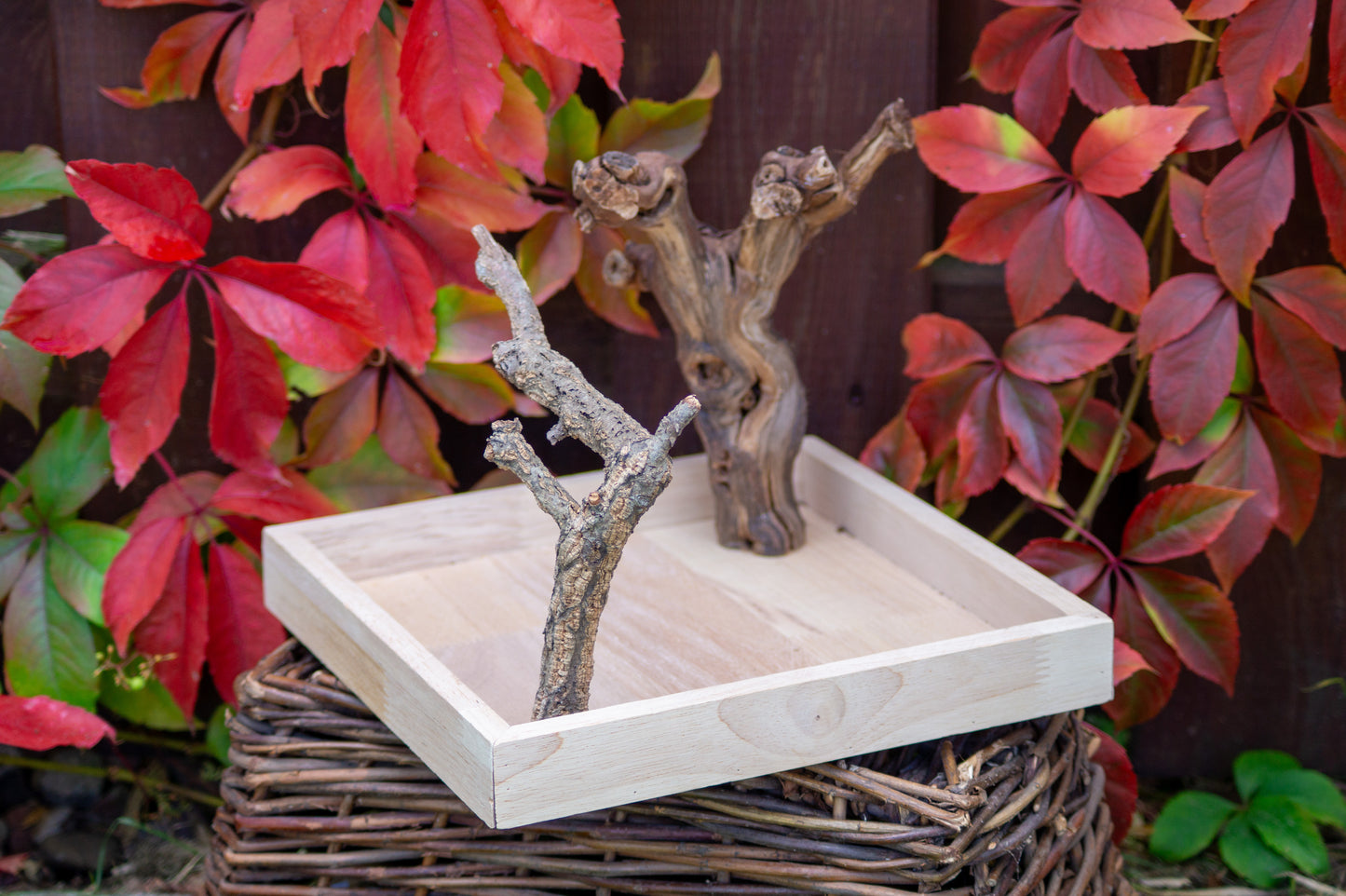 Freisitz Weinrebe & Kork mit Wühlkiste Nr.4 (Unikat)