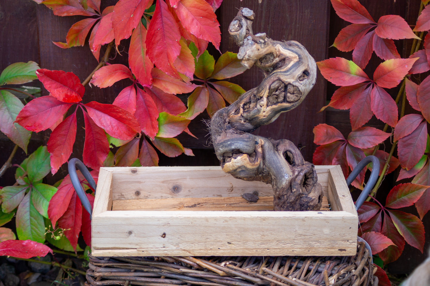 Freisitz Weinrebe auf Tablett mit Griffen (Unikat) -NR.1-