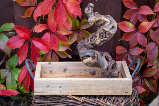 Freisitz Weinrebe auf Tablett mit Griffen (Unikat) -NR.1-