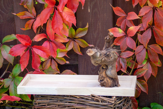 Freisitz Weinrebe mit Wühlkiste Nr.12 (Unikat)