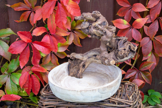 Freisitz Weinrebe mit Wühlschale Nr. 2 (Unikat)