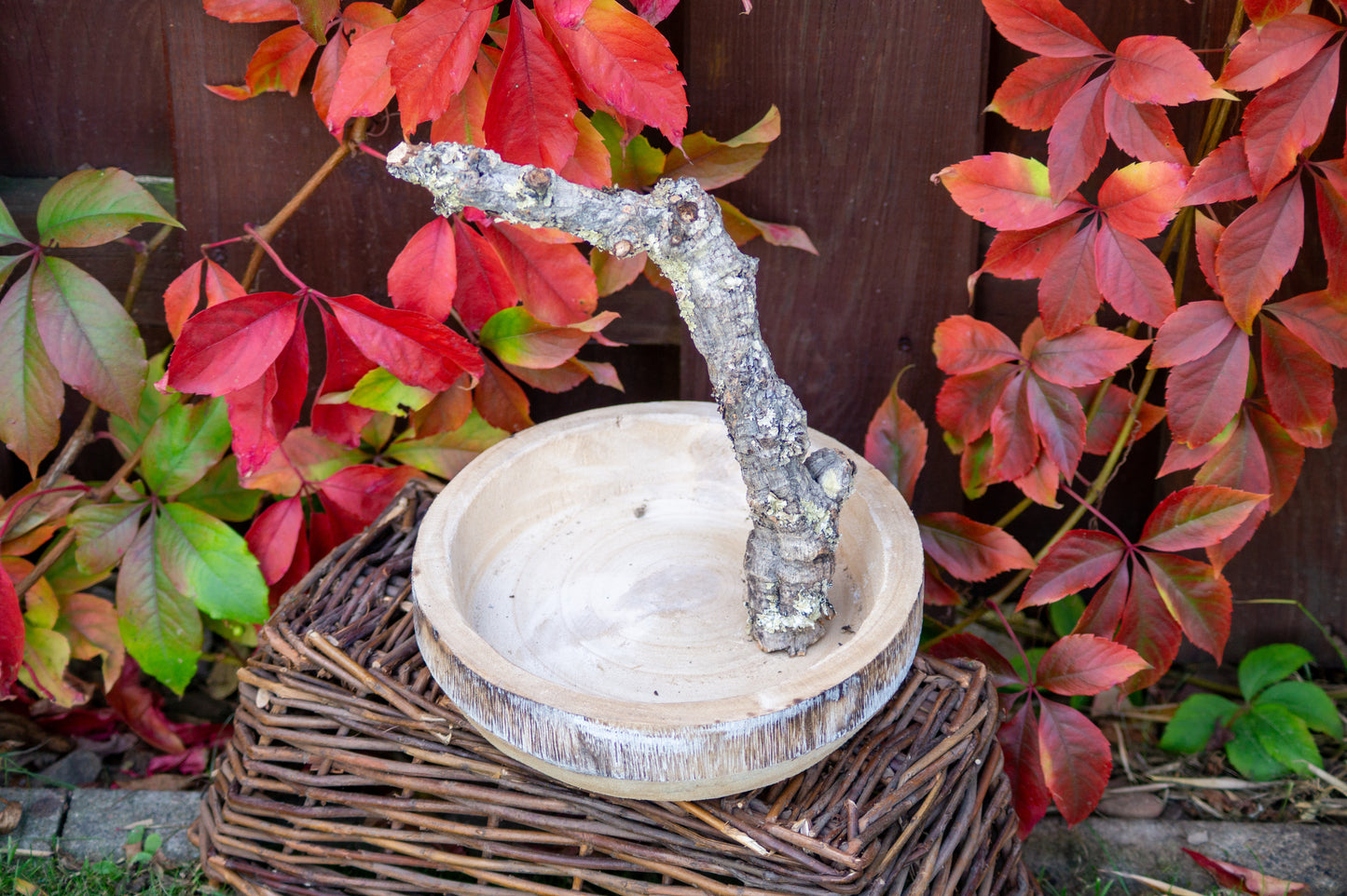 Freisitz Kork mit Wühlschale Nr. 2 (Unikat)