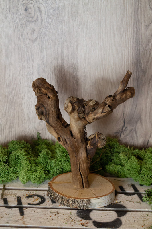 Freisitz Weinrebe auf runter Birke (Unikat) -NR.1-