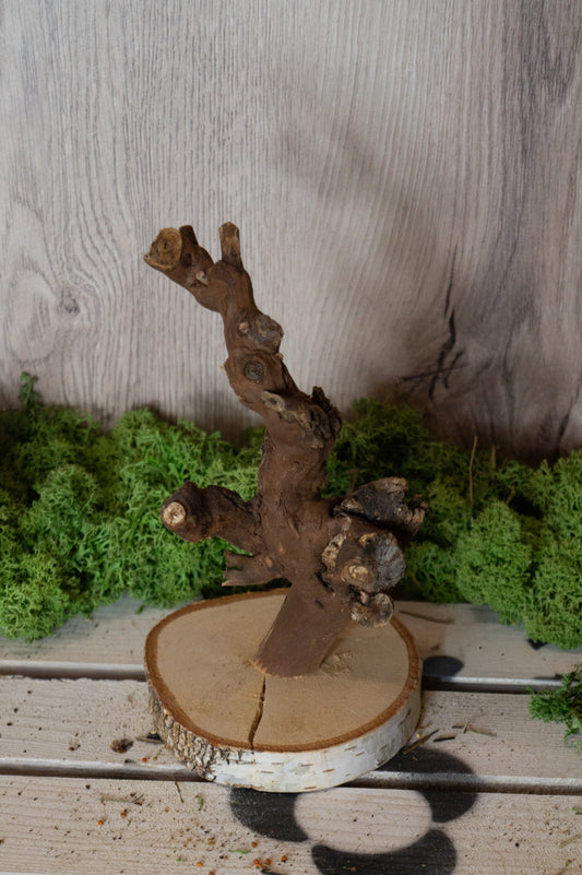 Freisitz Weinrebe auf runter Birke (Unikat) -NR.2-