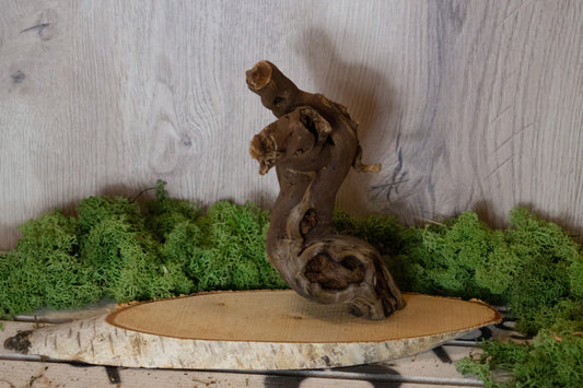 Freisitz Weinrebe auf ovaler Birke (Unikat) -Nr. 1-