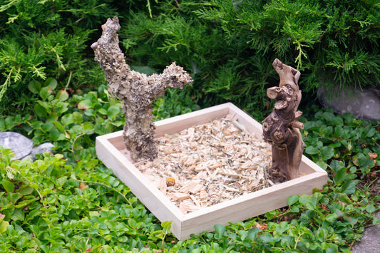 Freisitz aus Kork & Weinrebe mit quadratischer Wühlkiste Nr.2 (Unikat)