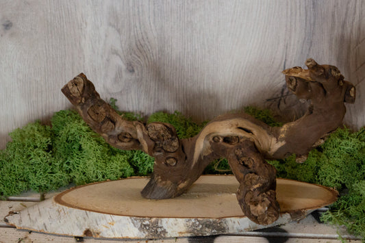 Freisitz Weinrebe auf ovaler Birke Nr.2 (Unikat)