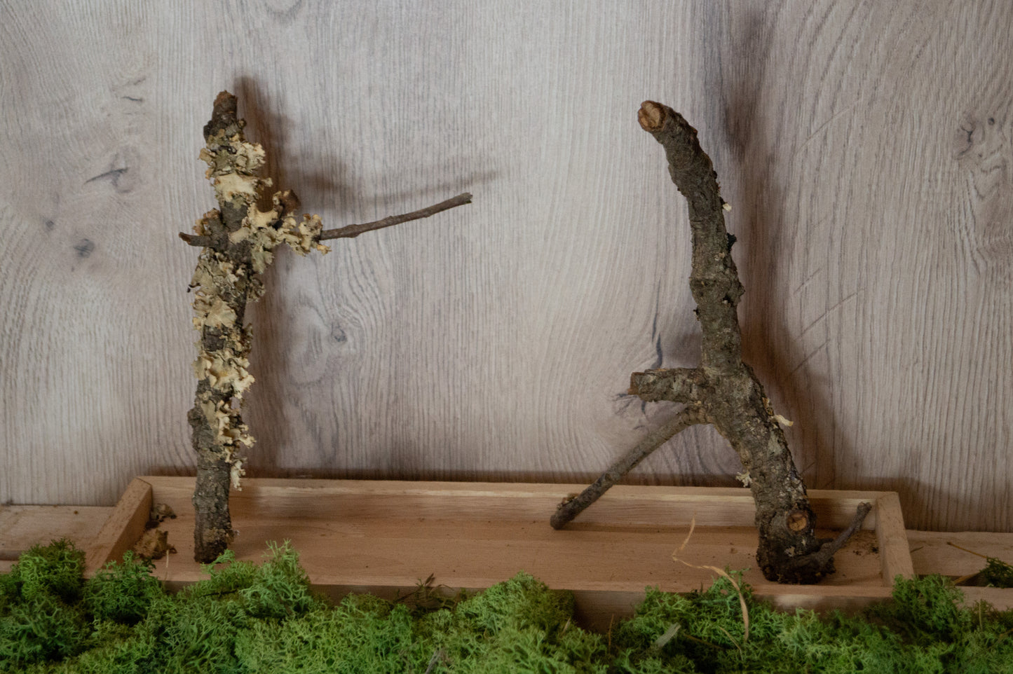 Freisitz mit doppeltem Korkast auf schmalen Tablett (Unikat) -NR.1-