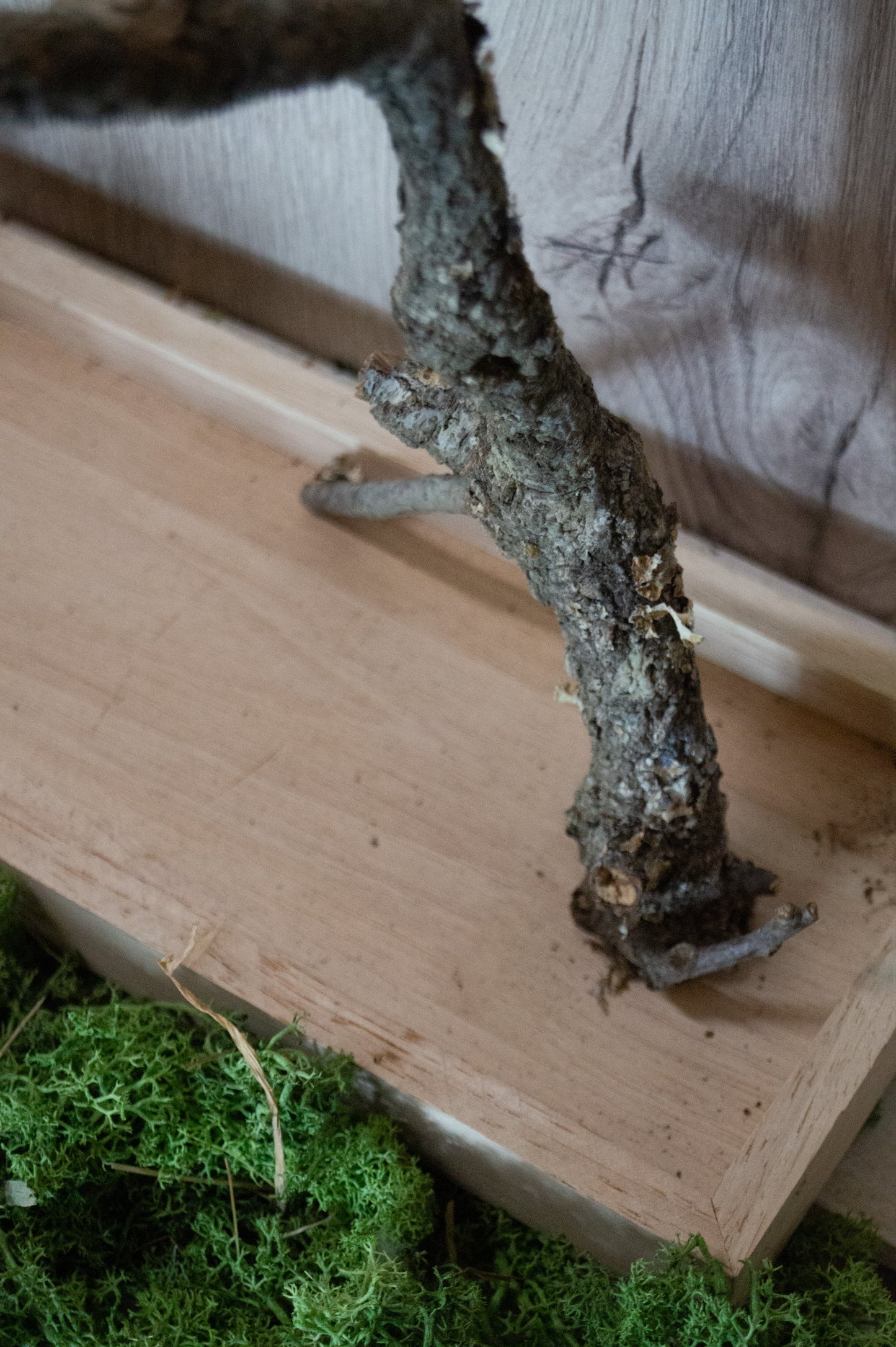 Freisitz mit doppeltem Korkast auf schmalen Tablett (Unikat) -NR.1-