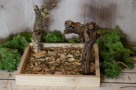 Freisitz aus Kork & dicker Weinrebe mit quadratischer Wühlkiste Nr.2 (Unikat)