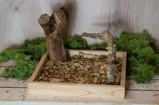 Freisitz aus Kork & dicker Weinrebe mit quadratischer Wühlkiste Nr.1 (Unikat)