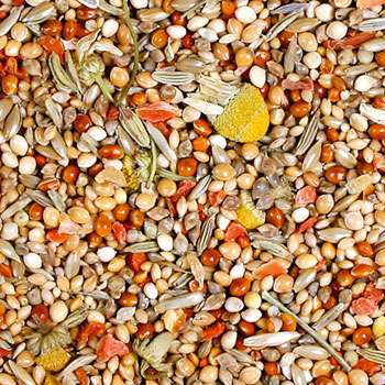 JR FARM Individual Prachtfink-1kg-
