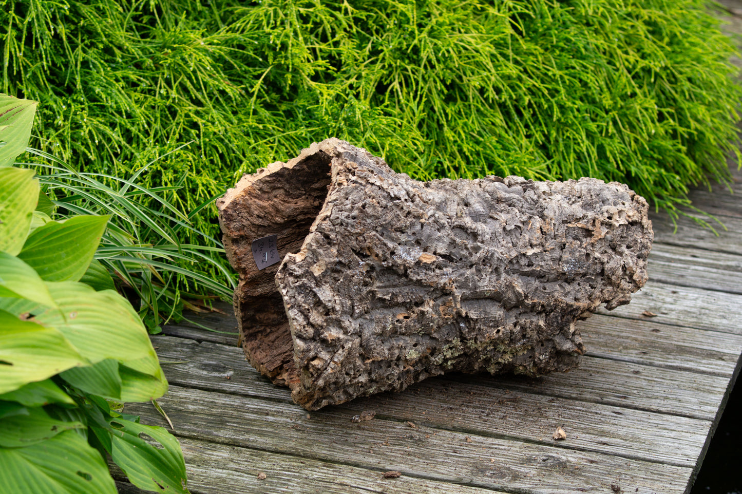 Kork - Röhre -Nr.3-