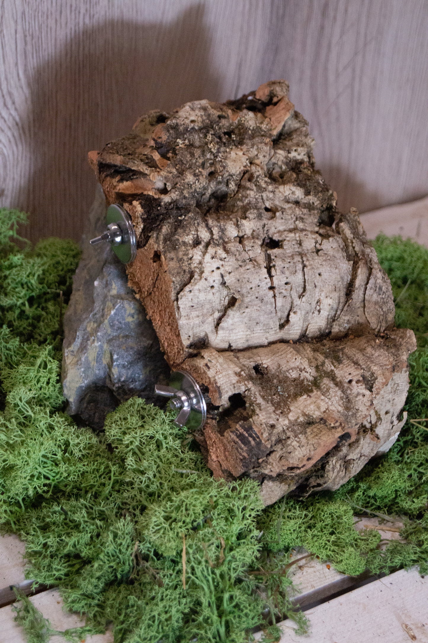 Korksitzbrett -M- mit Verschraubung 11cm x 22cm