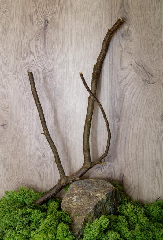 Natursitzstangen Gabel mit Verschraubung ca. Ø 1,5cm ca. 35 - 40cm