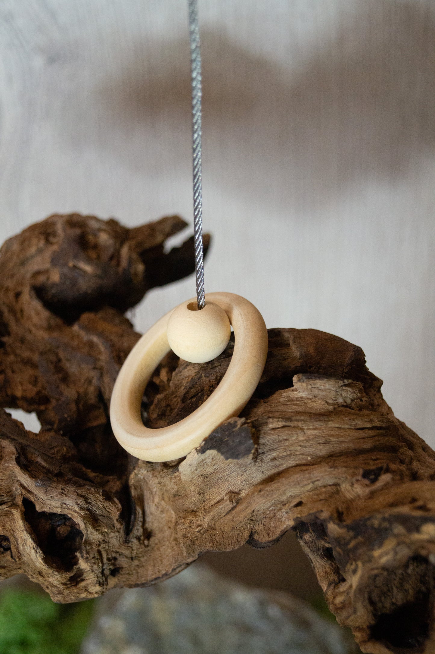 Weinrebenwippe mit Edelstahlseil