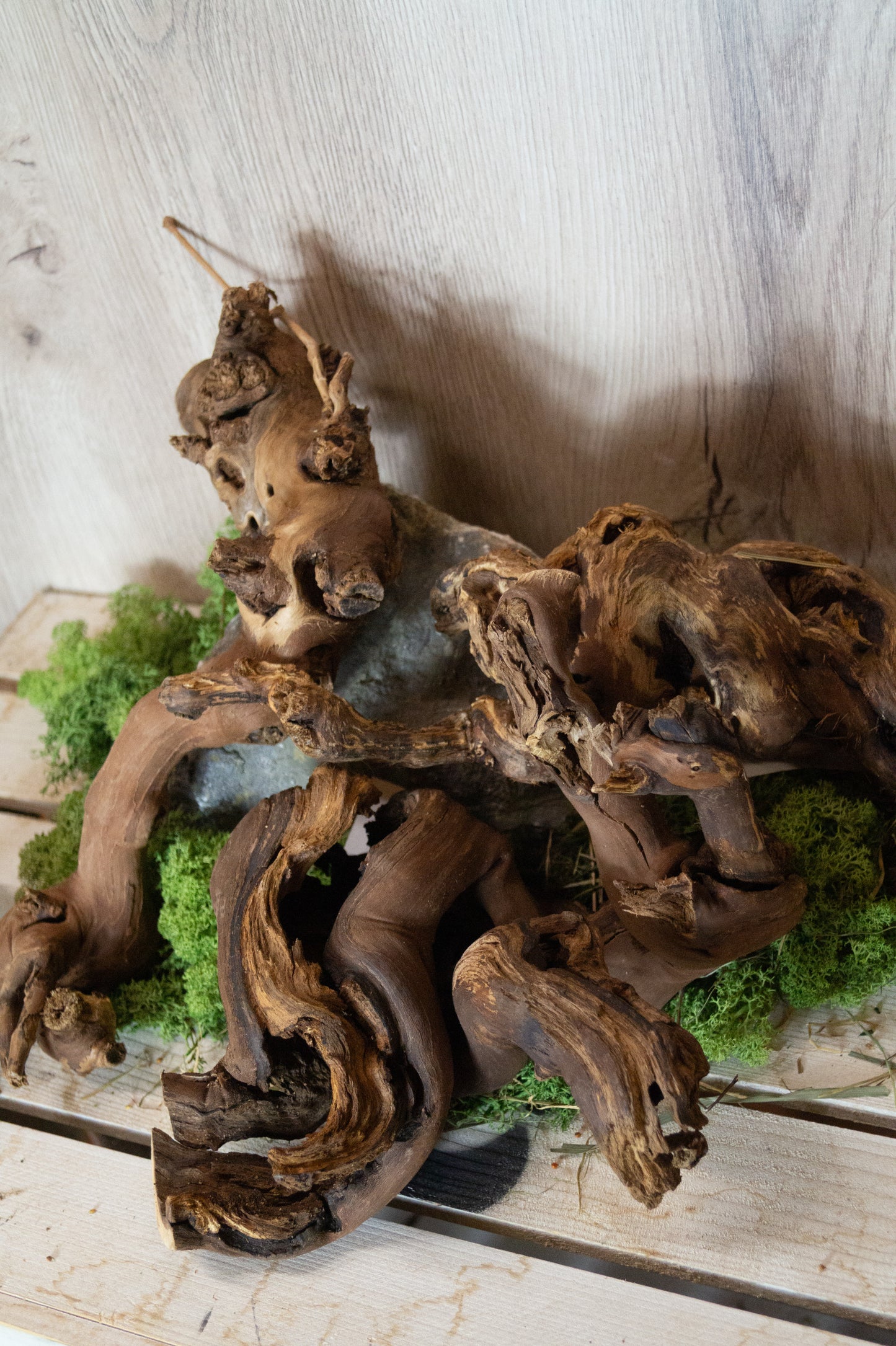 Weinreben-Ast Gr. M ca. 20-30cm zum Selberbasteln