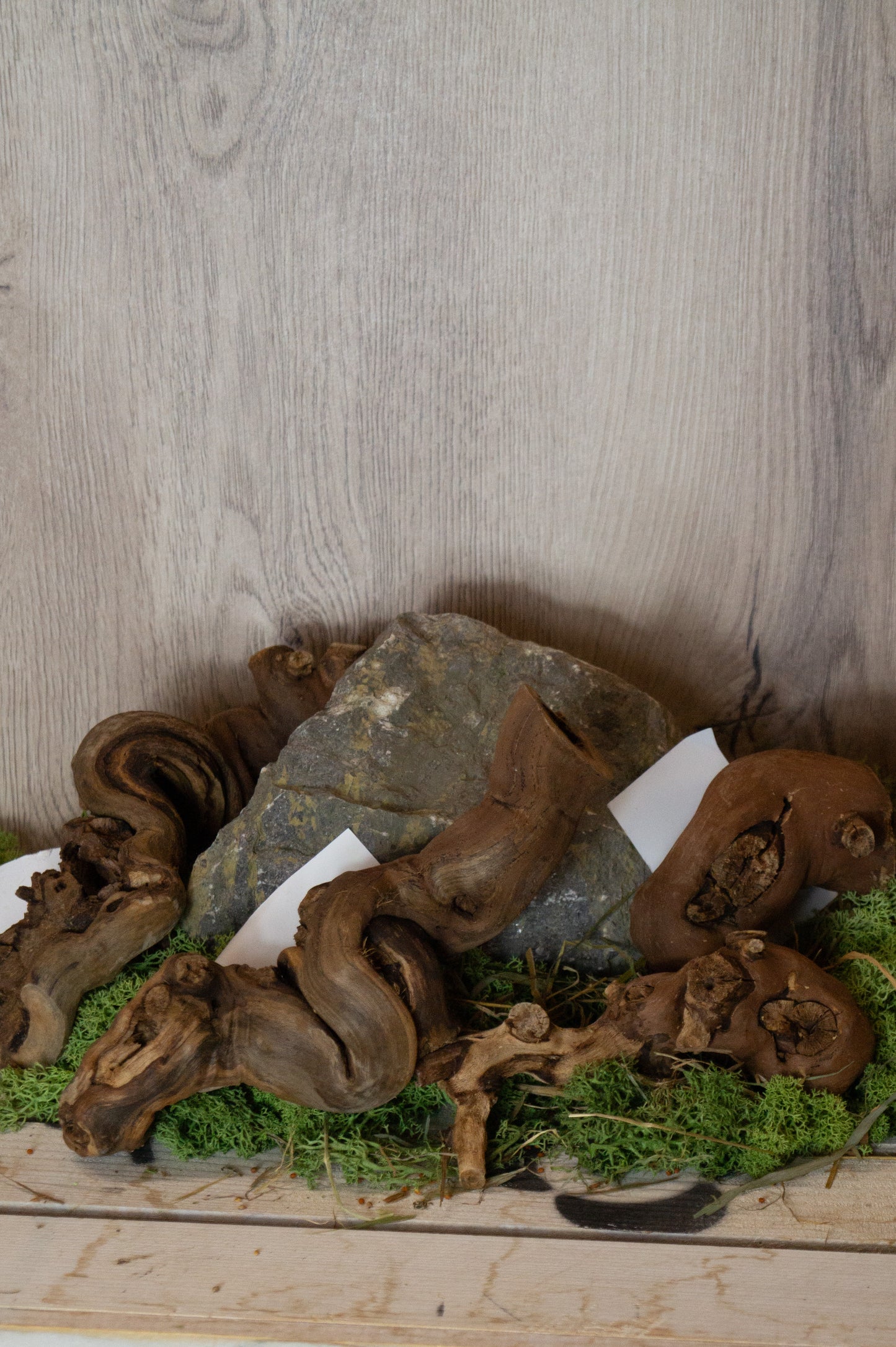 Weinreben-Ast Gr. S ca. 10-20cm zum Selberbasteln